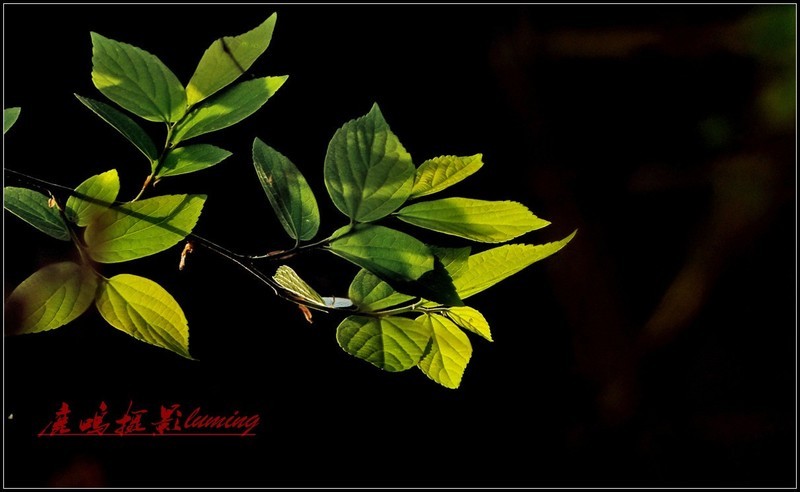 宾得(pentax)XG-1 样张图-ZOL中关村在线