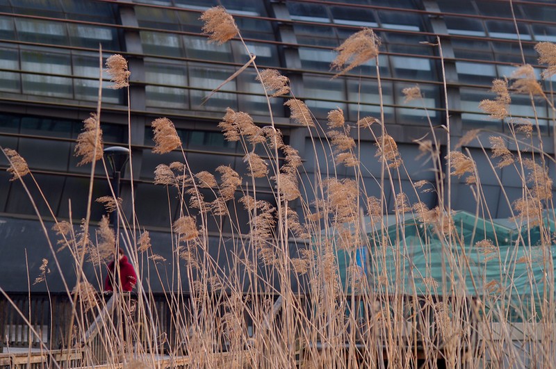 数码相机 > 宾得数码相机 > 宾得k20d > 样张 > 样张效果 变焦镜头