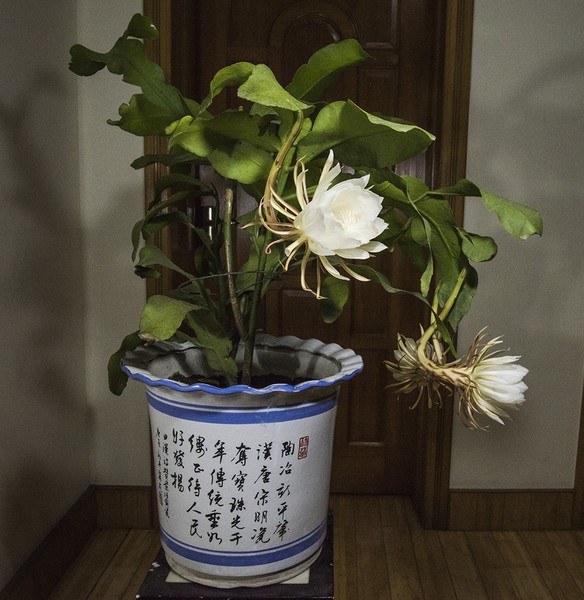 > 尼康数码相机 > 尼康d810(单机) > 样张 > 样张效果 变焦镜头 定焦