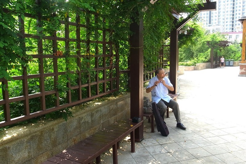 理光(ricoh)grd4 样张图-zol中关村在线